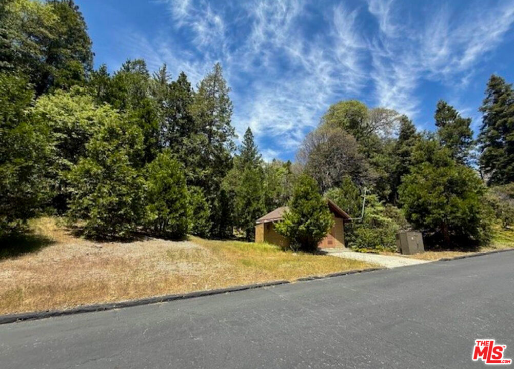 246 Cedar Ridge Drive, Lake Arrowhead, CA 92352 — photo 1