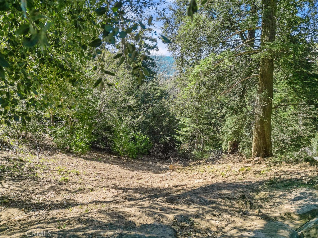 0 Chateau, Crestline, CA 92325 — photo 1