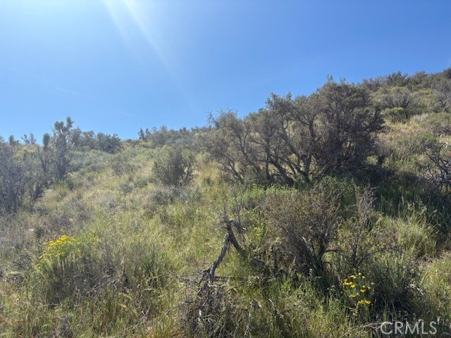 0 none, Pinon Hills, CA 92372 — photo 1