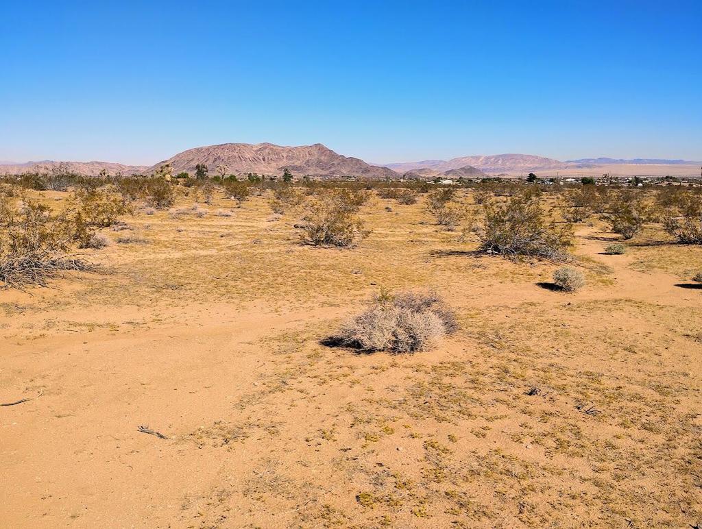 565 Inez Avenue, Landers, CA 92285 — photo 1