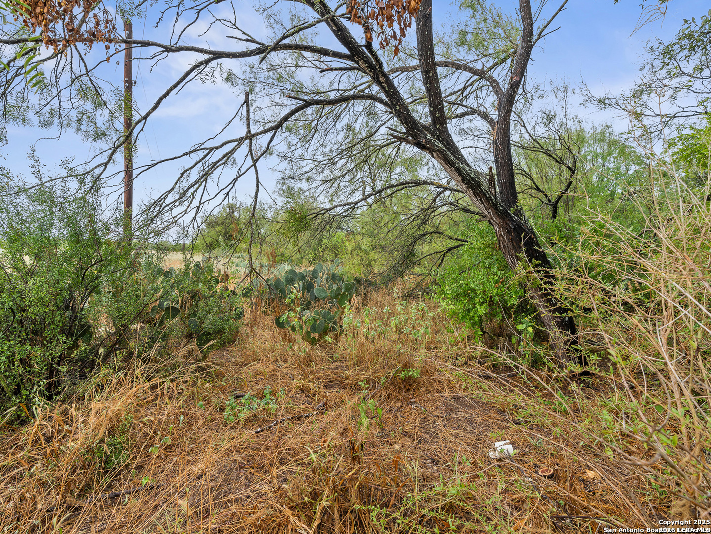 TO BE DETERMINE Jackel, Von Ormy, TX 78073 — photo 1