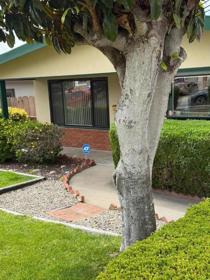 3253 Fitzgerald Circle, Marina, CA 93933 — photo 1