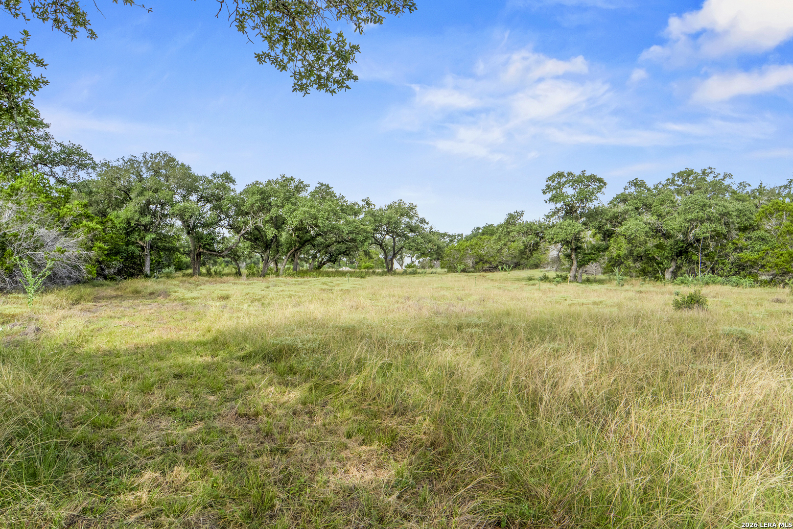 358 Serenity Pass, Spring Branch, TX 78070 — photo 1
