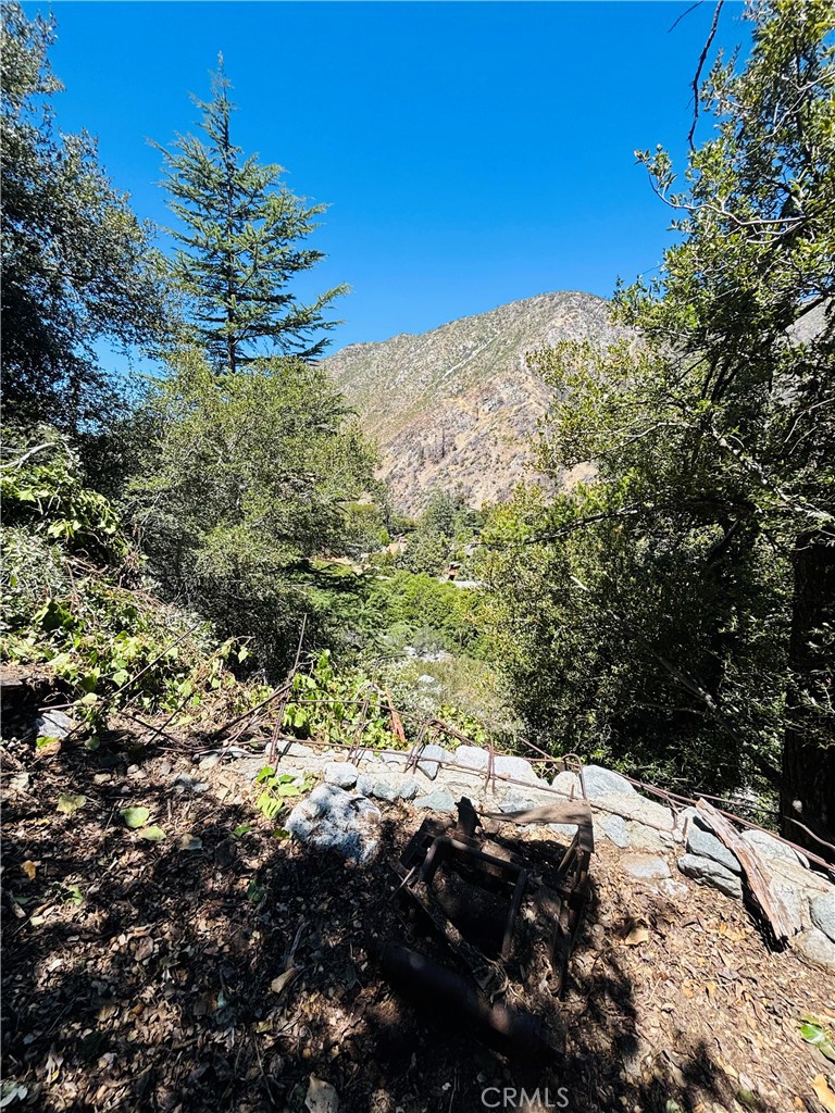 955 San Antonio Creek, Mt Baldy, CA 91759 — photo 1