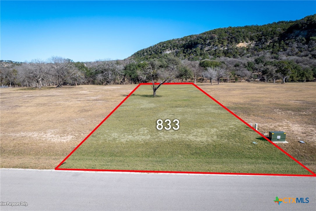 833 Bingham Lane, New Braunfels, TX 78132 — photo 1