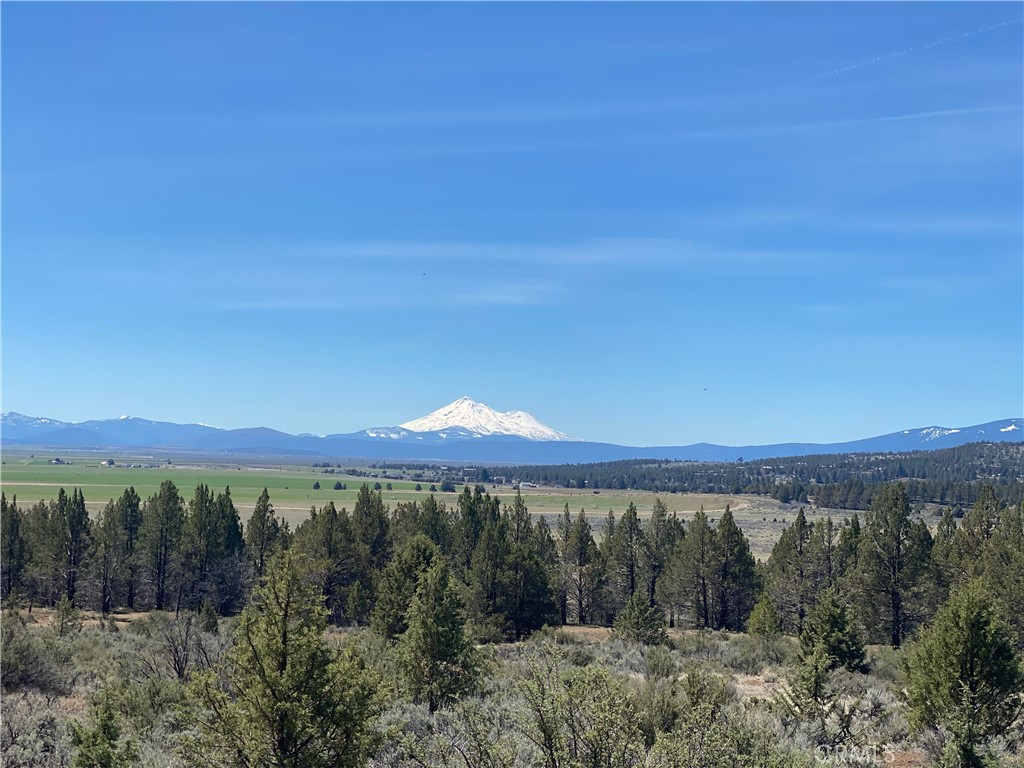 0 Matthews Road, Dorris, CA 96023 — photo 1