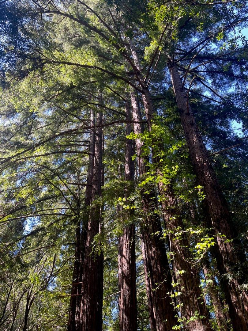 0 Sycamore Cyn Road, Big Sur, CA 93920 — photo 1