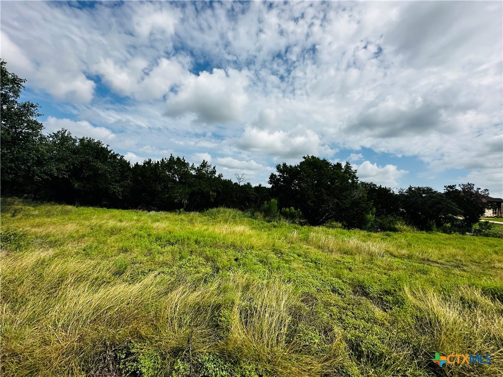 156 Red Maple Circle, Killeen, TX 76549 — photo 1