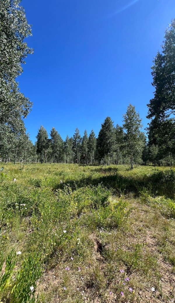 5 ADAMS AVE, Cedar City, UT 84720 — photo 1