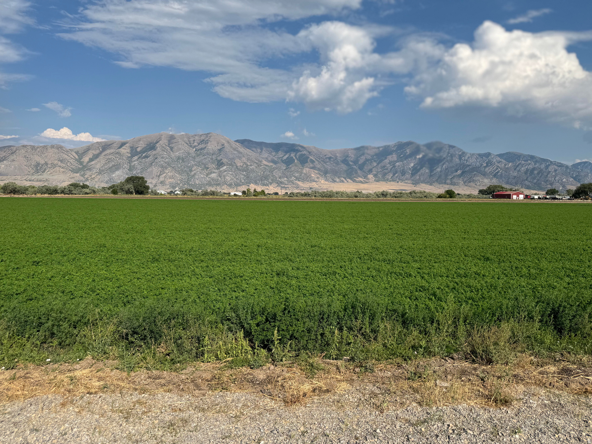 9230 N 6000 W, Tremonton, UT 84337 — photo 1