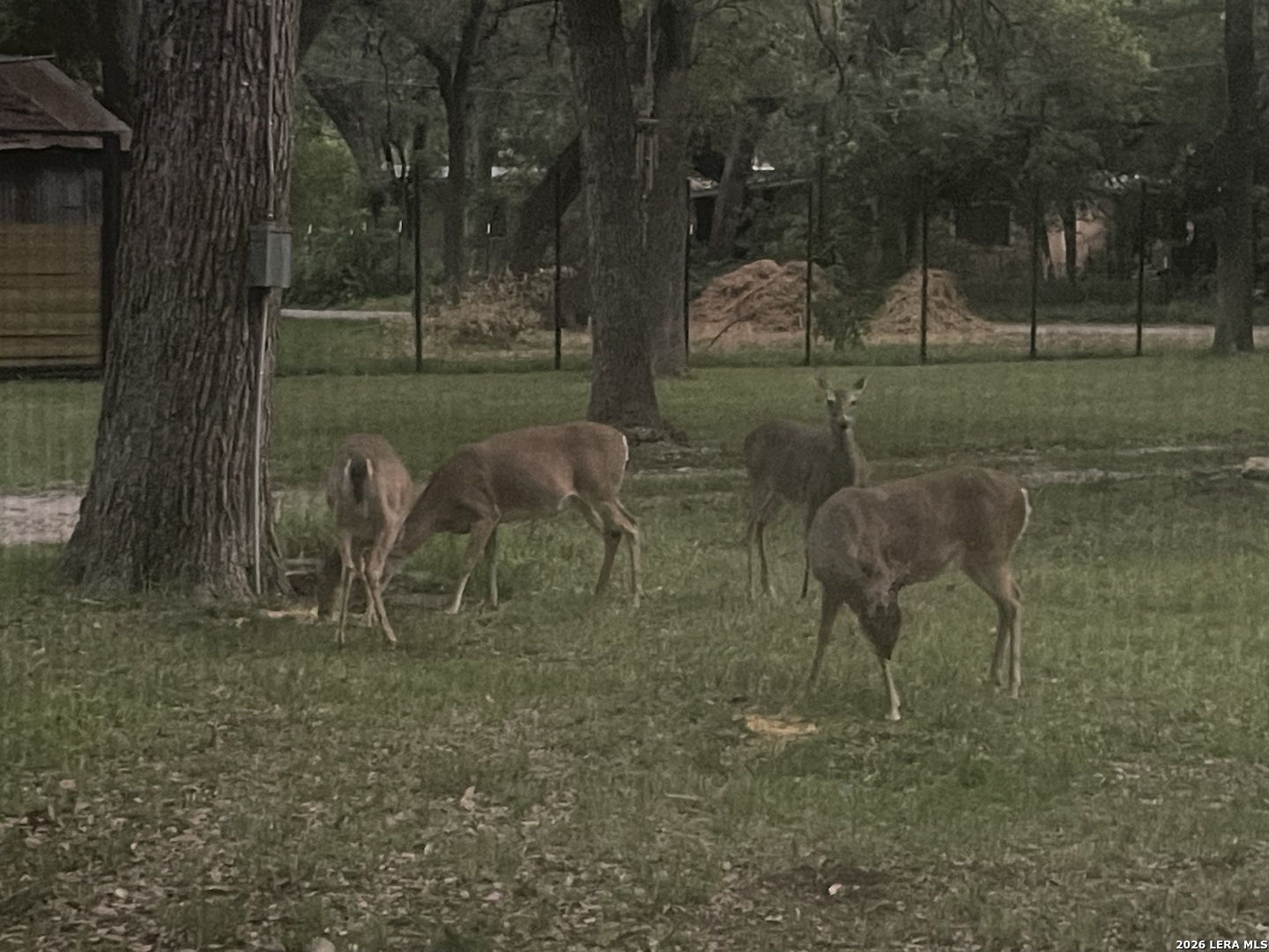 19214 Grey Forest, ,  78023 — photo 1