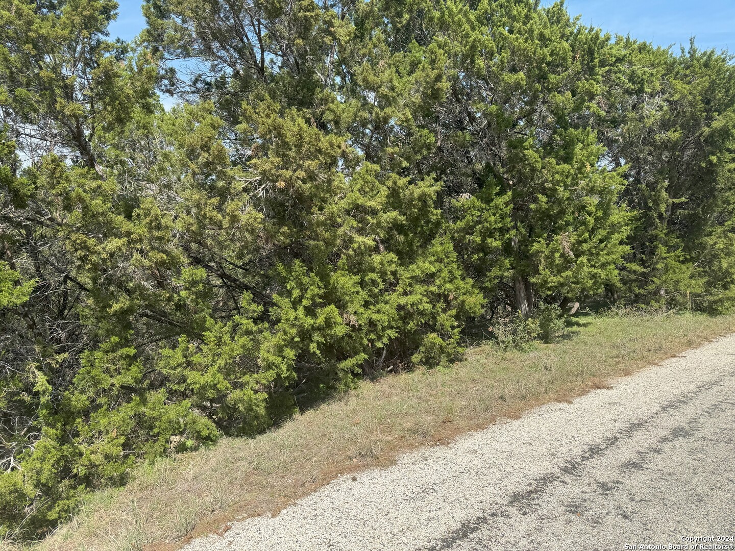 413 CEDAR DR, Canyon Lake, TX 78133 — photo 1