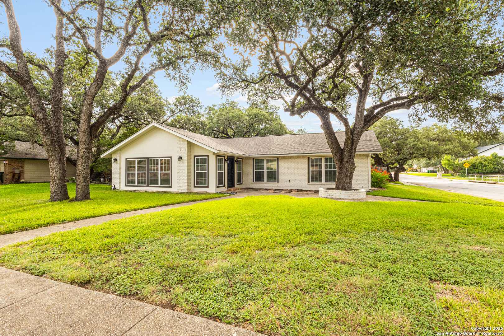 14102 Red Maple, San Antonio, TX 78247 — photo 1