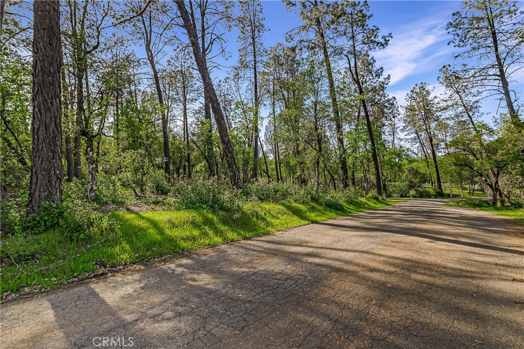 9200 Silver King Road