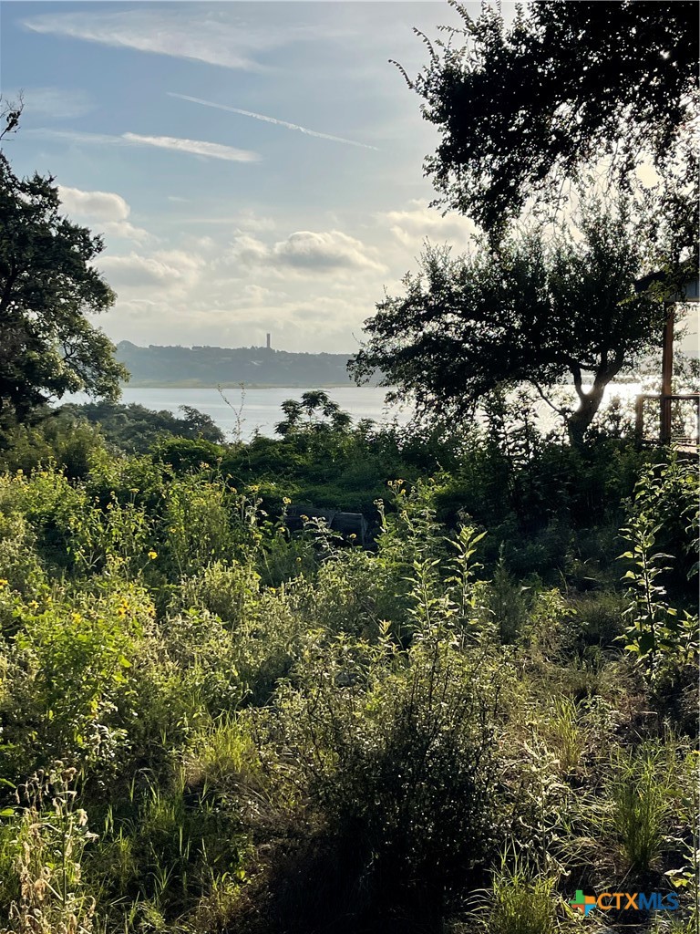 2111 Lakeview Drive, Canyon Lake, TX 78133 — photo 1