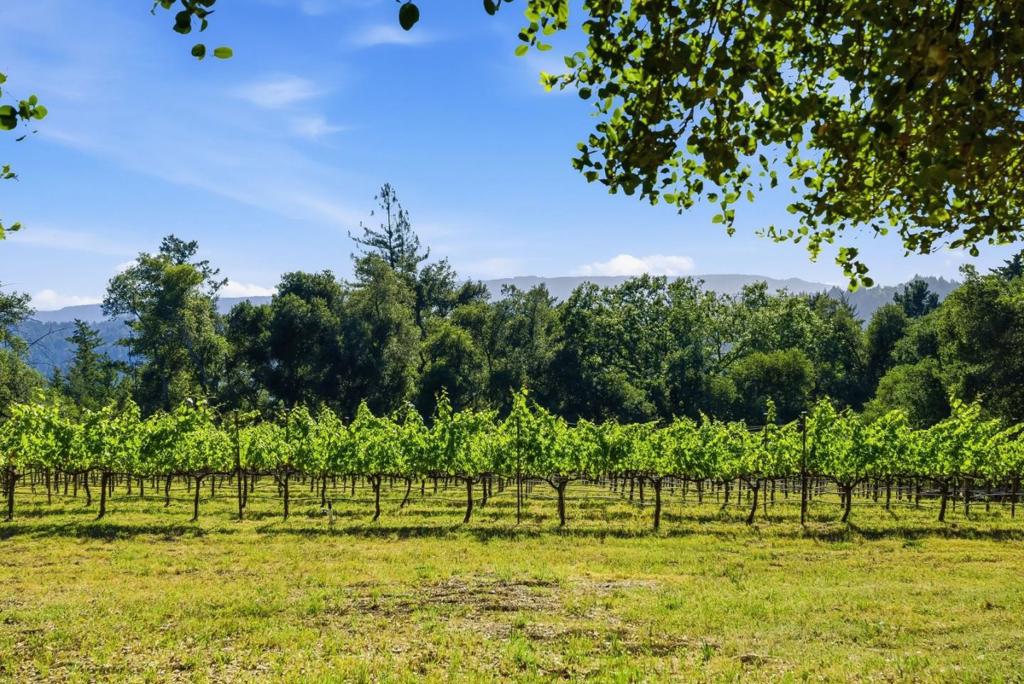 0 Miller Hill Road, Los Gatos, CA 95033 — photo 1