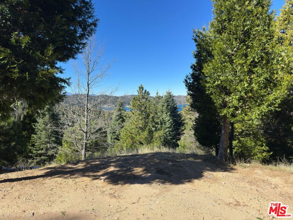 101 Mill Pond Road, Lake Arrowhead, CA 92352 — photo 1
