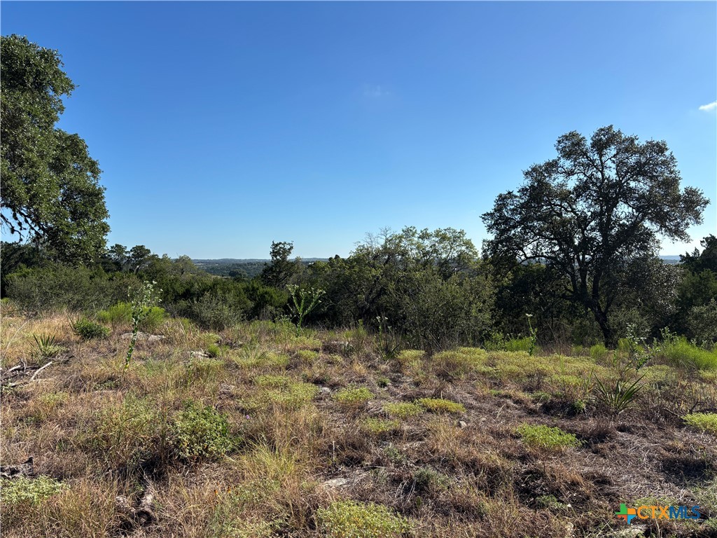 190 Spiritual, Spring Branch, TX 78070 — photo 1