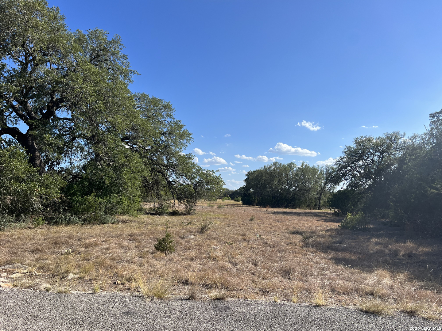 239 Appaloosa Hollow, , 78003 — photo 1