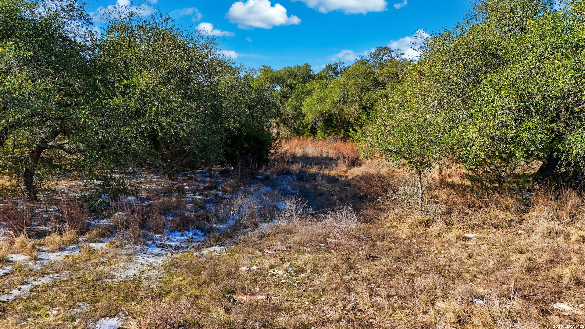 246 Dodder, Spring Branch, TX 78070 — photo 1