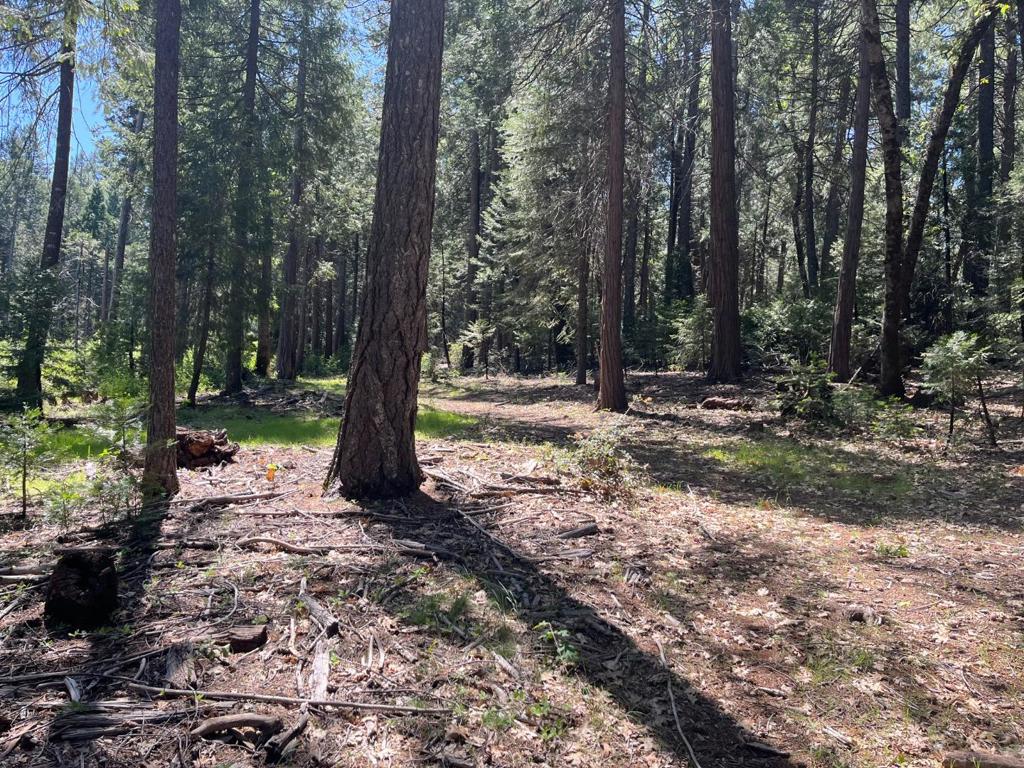 Address withheld, Nevada City, CA 95959 — photo 1