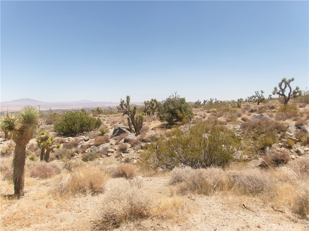 8020 MILLER RANCH Road, Lucerne Valley, CA 92356 — photo 1