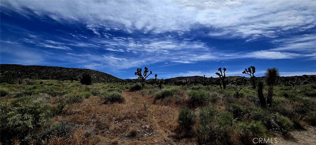 8900 Bainard Canyon Road, Littlerock, CA 93550 — photo 1