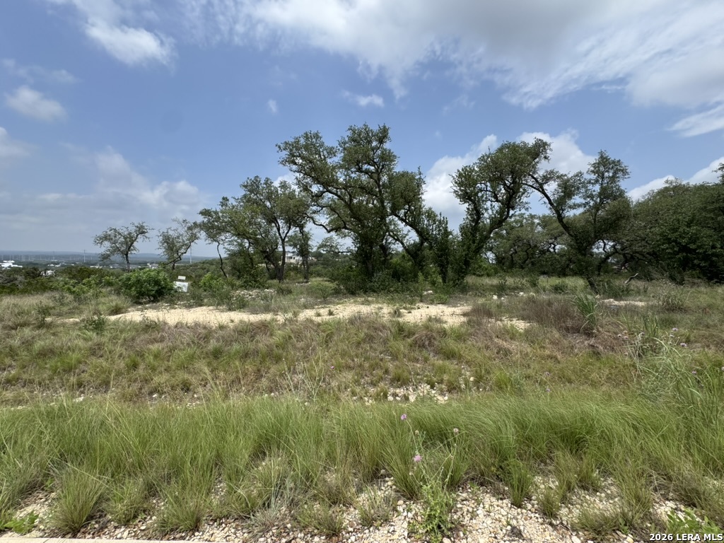 686 Butler Oaks, Bulverde, TX 78163 — photo 1