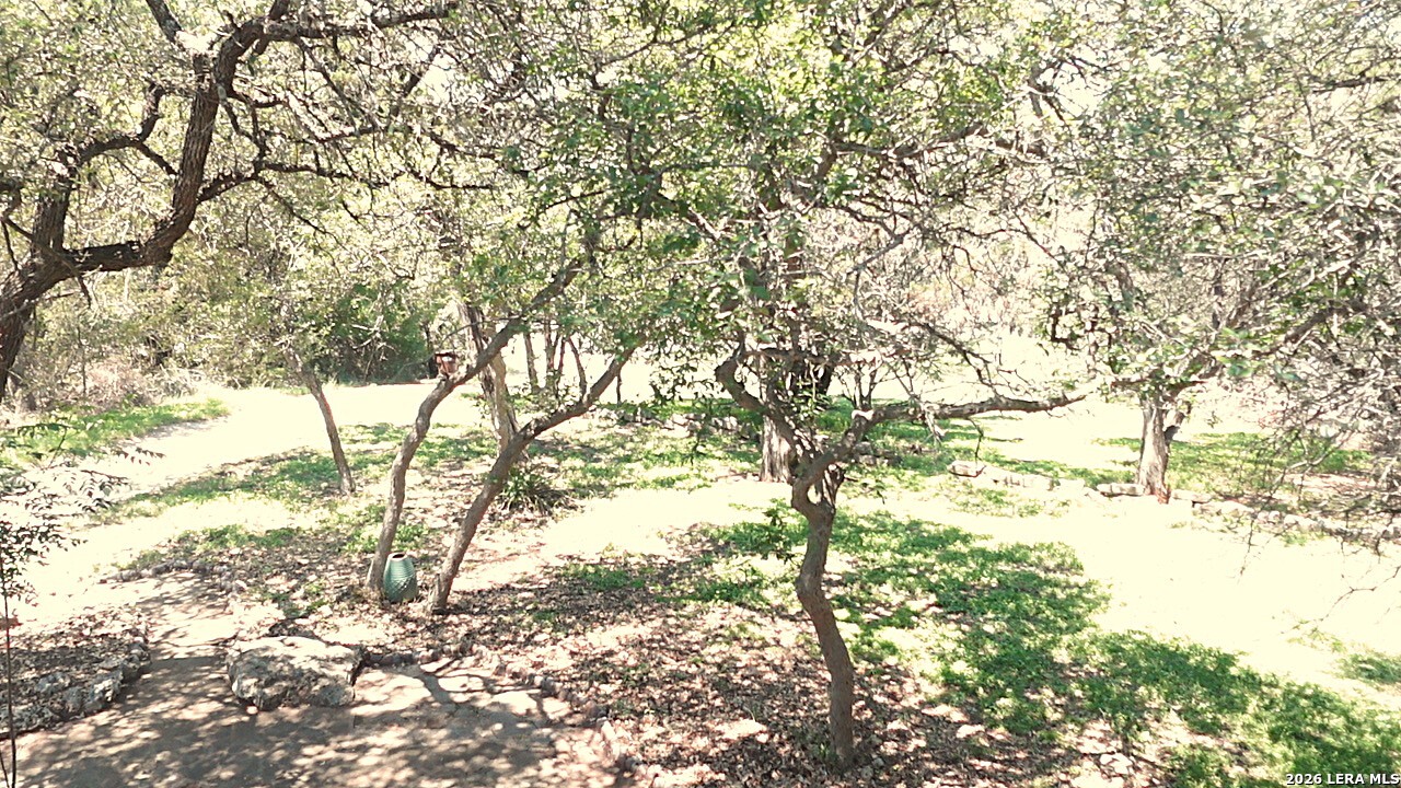 7821 Elk Dr., ,  78070 — photo 1