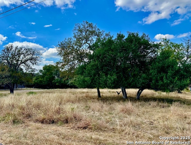 8423 Rochelle Rd, San Antonio, TX 78240 — photo 1
