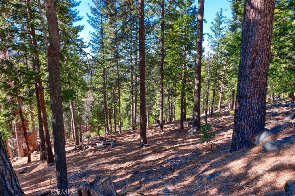 7349 & 7473 Yosemite Park Way
