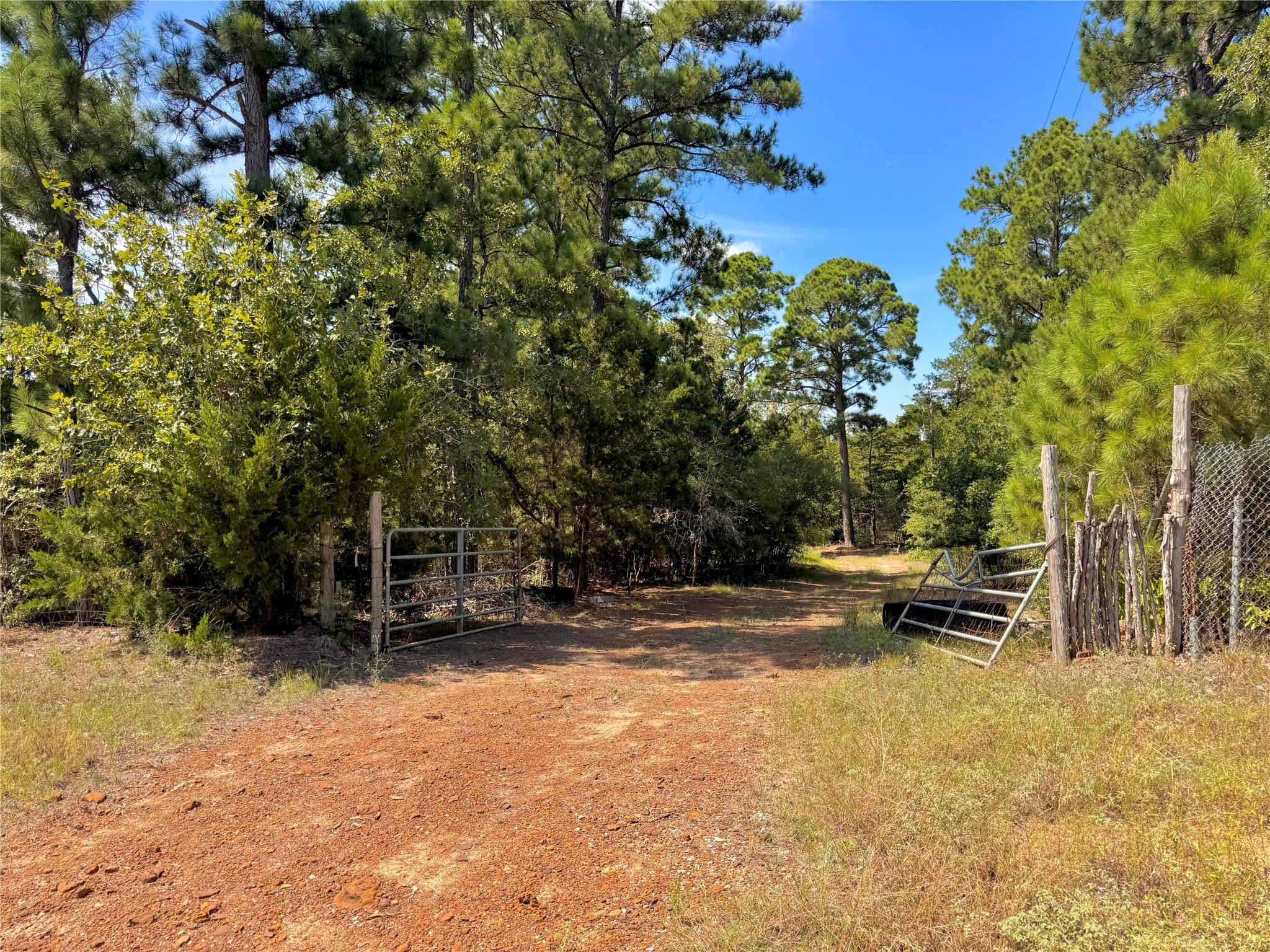 445 Pine Valley, Smithville, TX 78957 — photo 1