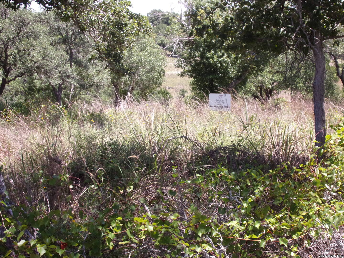 TBD E Twisted Oak Trail, Blanco, TX 78606 — photo 1