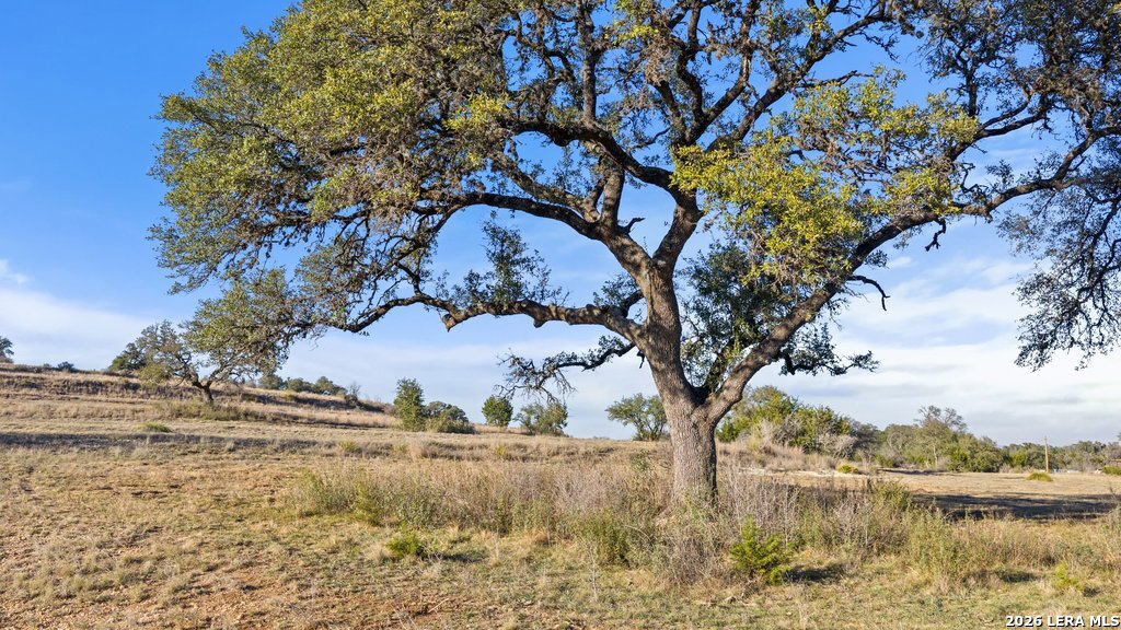 885 stanton, Johnson City, TX 78636 — photo 1