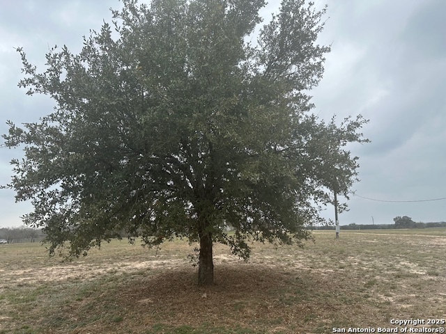 003 Stevens Rd, Von Ormy, TX 78073 — photo 1
