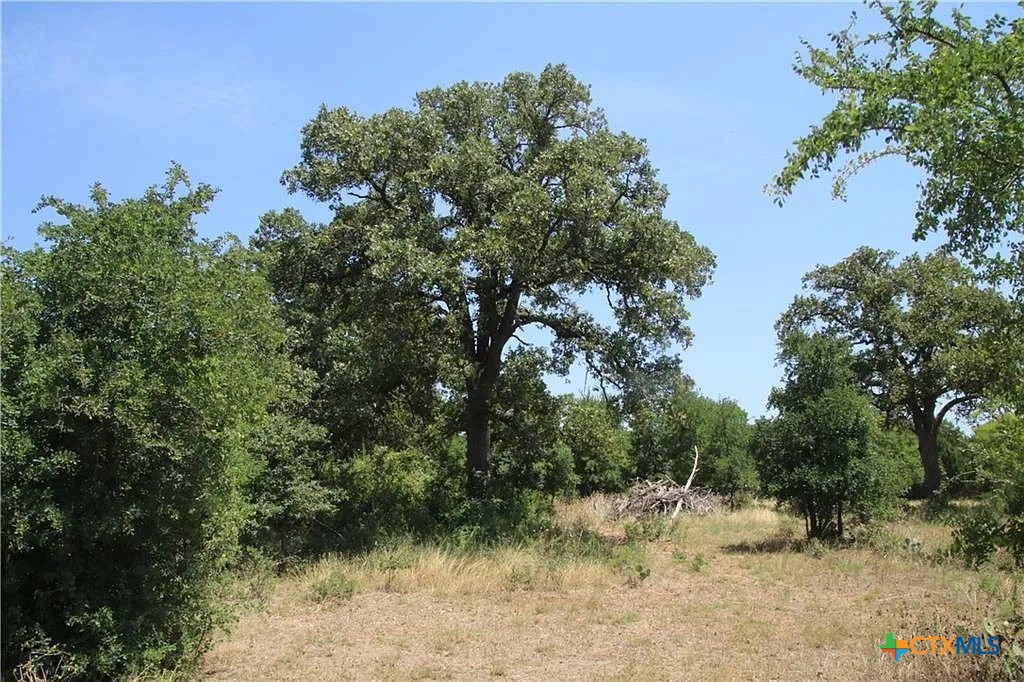 580 Whisper Lane, Georgetown, TX 78628 — photo 1