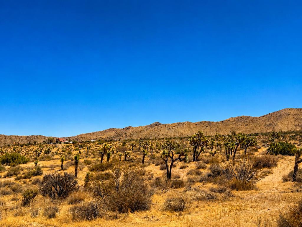 58920 Lisbon Drive, Yucca Valley, CA 92284 — photo 1