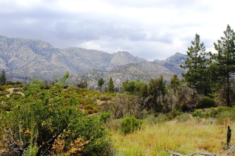 0 Bonita Vista Road, Mountain Center, CA 92561 — photo 1