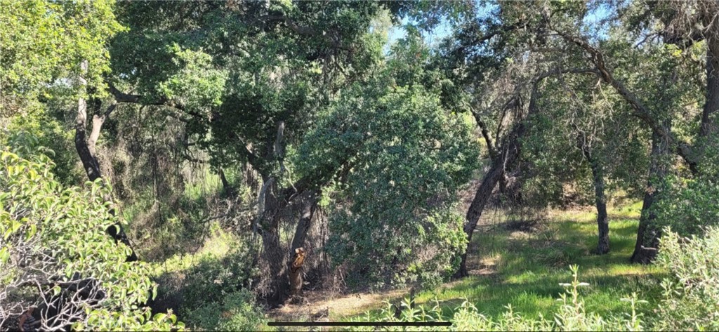 0 Avenida Taxco, Hemet, CA 92544 — photo 1