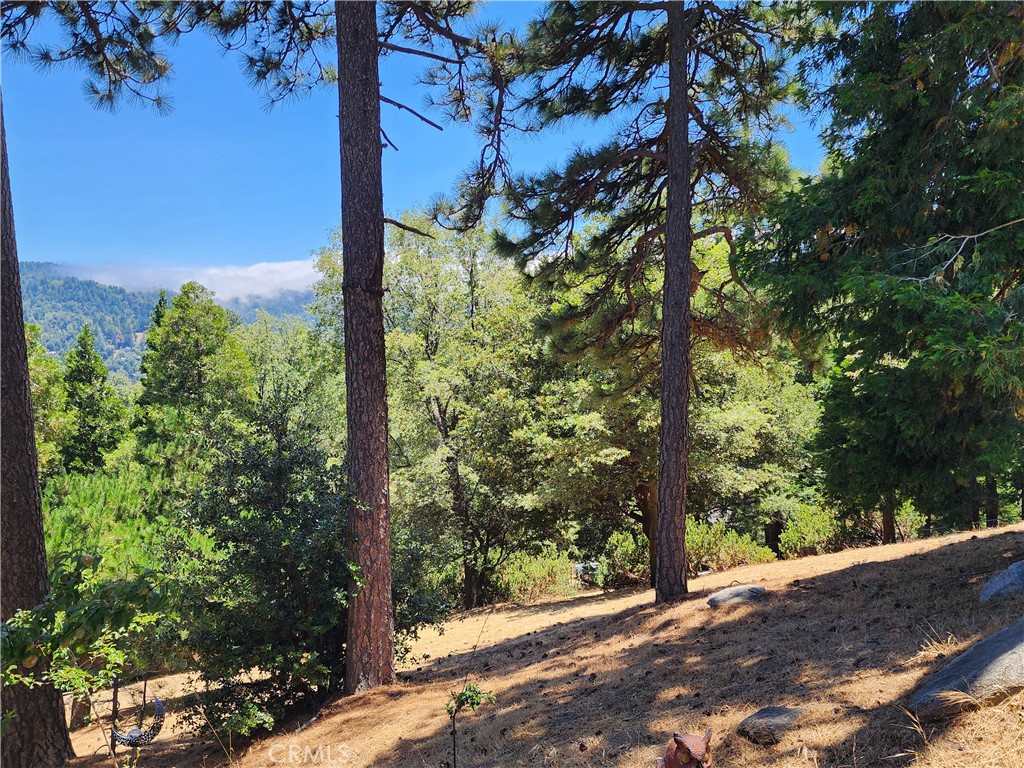 315 Weisshorn Drive, Crestline, CA 92325 — photo 1