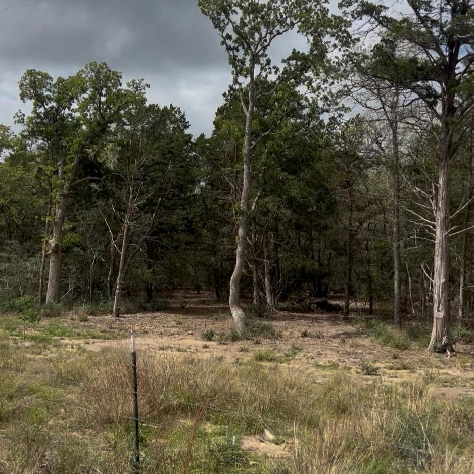Lot 15  Antioch Rd, Paige, TX 78659 — photo 1