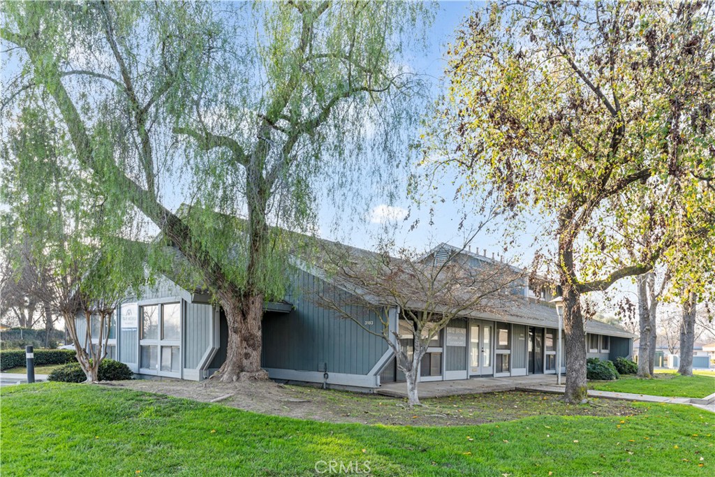 3183 Collins