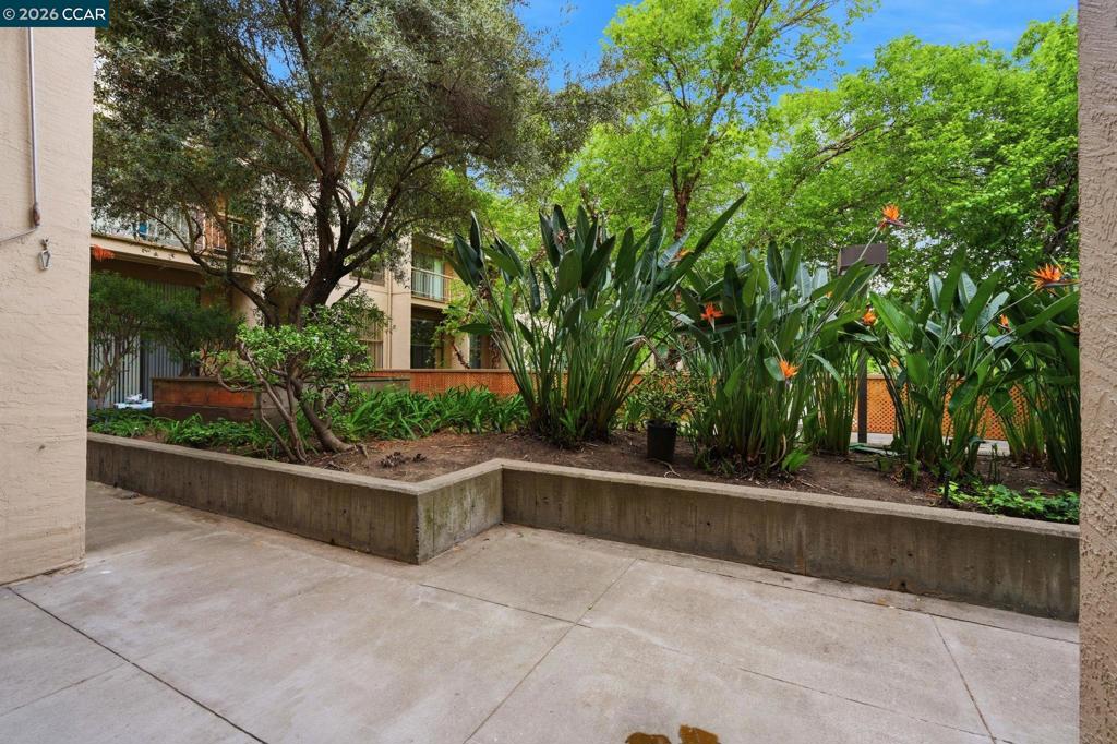 460 N Civic Dr 302, Walnut Creek, CA 94596 — photo 1