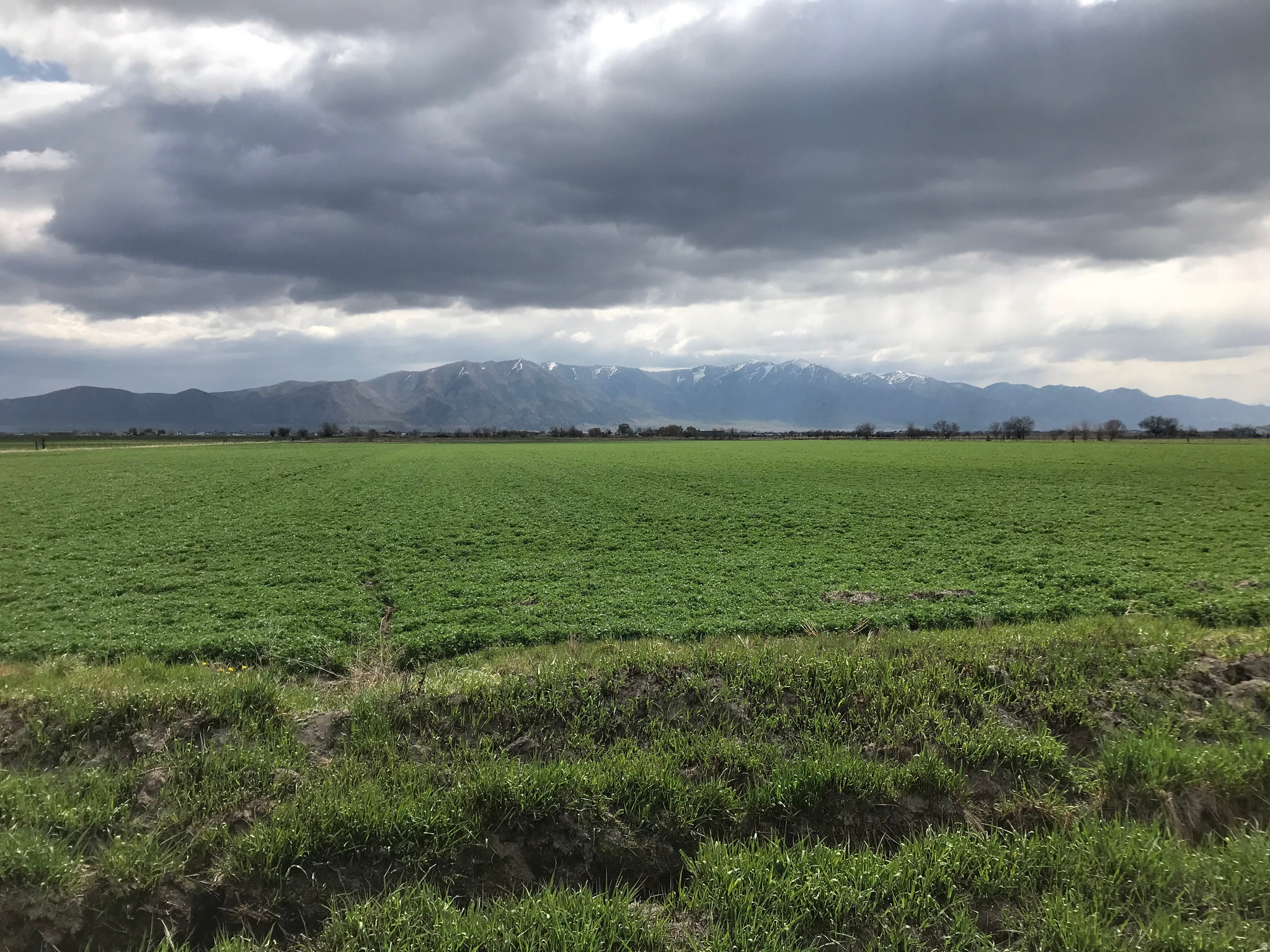 10000 W 10400 N, Bothwell, UT 84337 — photo 1