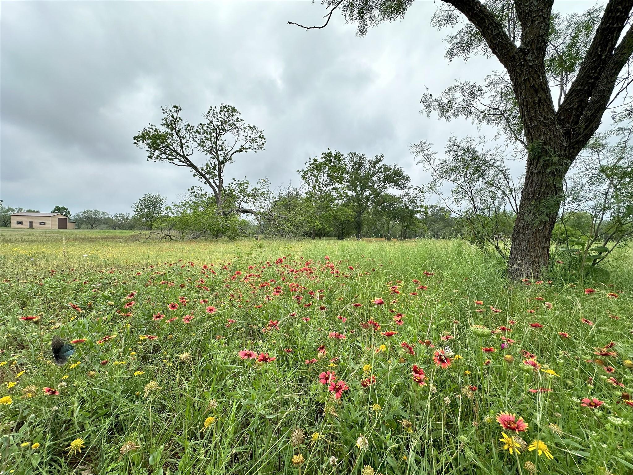 379 Vintners, Fredericksburg, TX 78624 — photo 1
