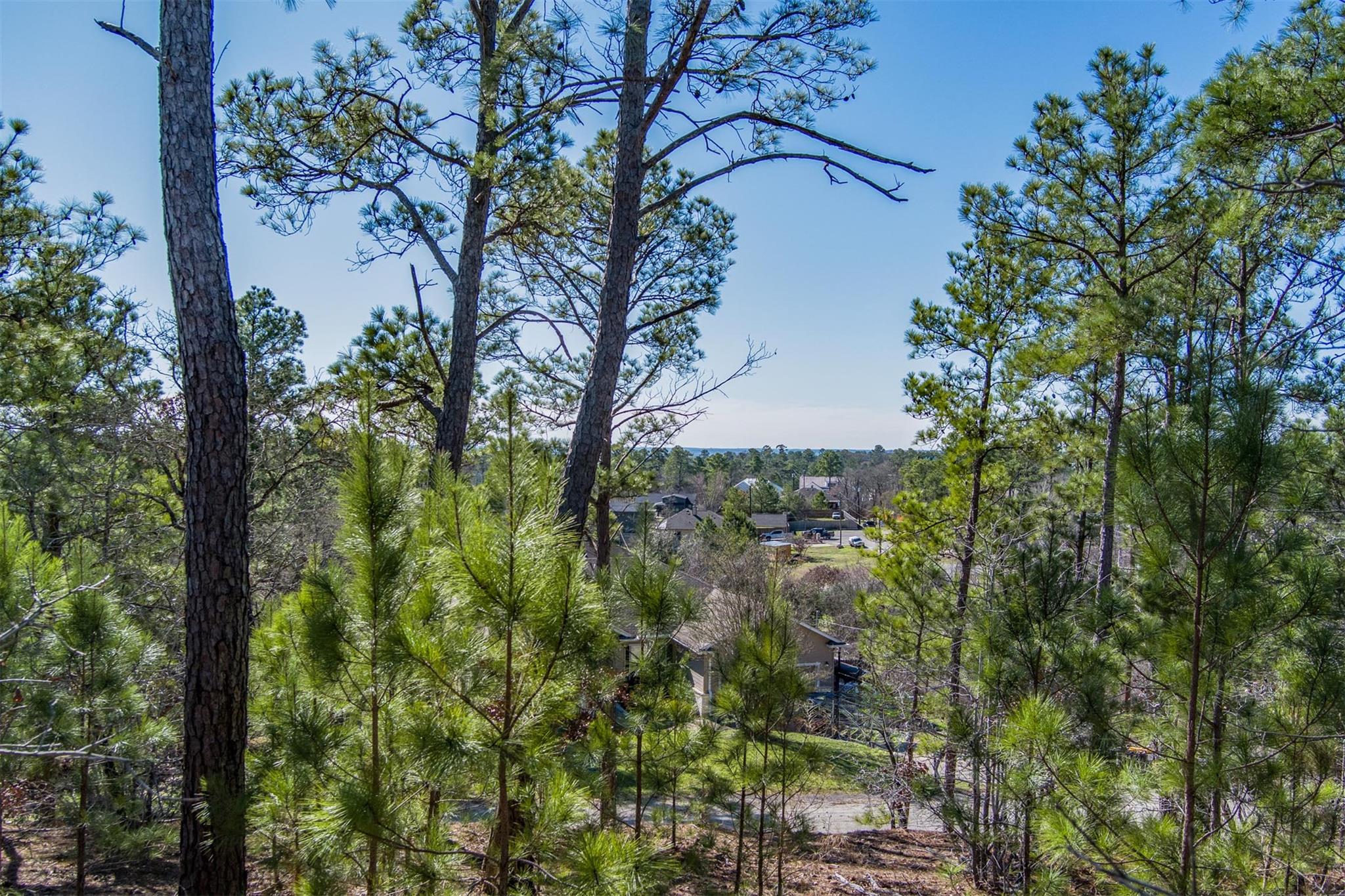 222 Makaha, Bastrop, TX 78602 — photo 1