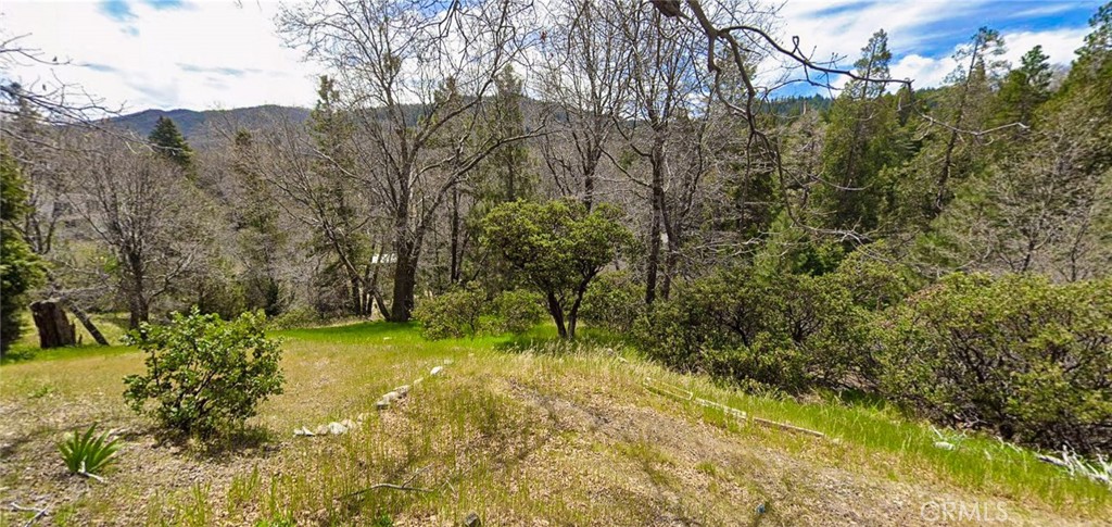 0 Hemlock Drive, Cedar Glen, CA 92321 — photo 1