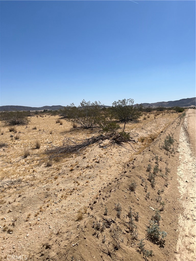 0 Division, Joshua Tree, CA 92252 — photo 1