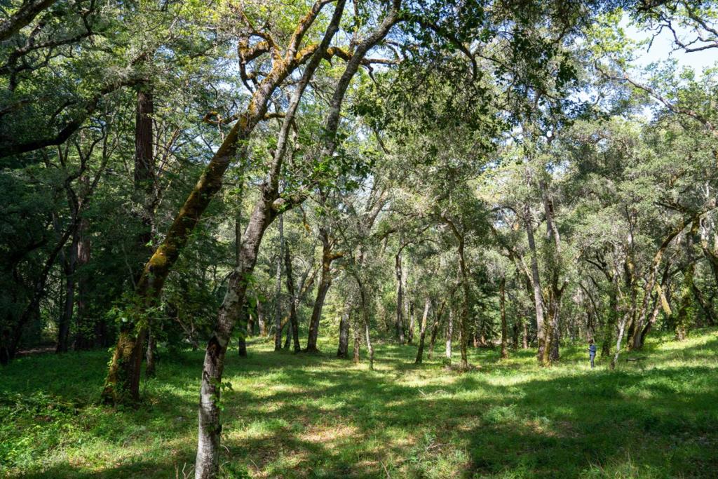 35000 Robinson Canyon Road, Carmel Valley, CA 93923 — photo 1