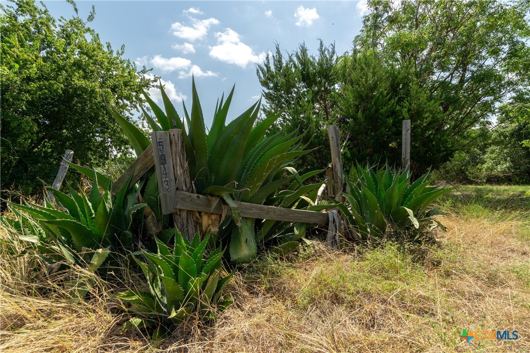 5943 Carriage, Temple, TX 76502 — photo 1